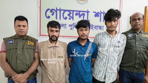 পলাশবাড়ীতে ডিবির অভিযানে ইয়াবাসহ তিনজন আটক