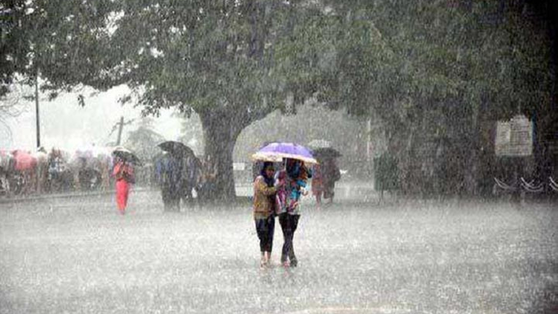 সন্ধ্যার মধ্যে ১৭ জেলায় ঝড়-বৃষ্টির আশঙ্কা, নদীবন্দরে সতর্কসংকেত