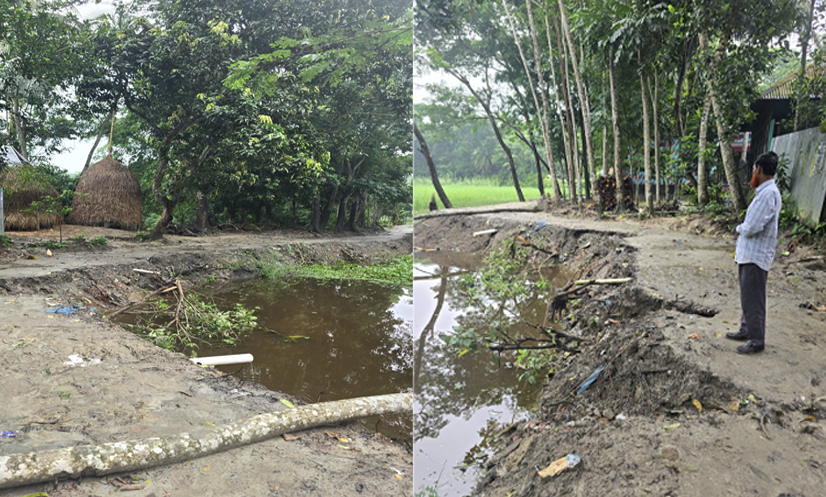 টানা বৃষ্টি ও জোয়ারে মতলব দক্ষিণে গ্রামীণ সড়ক ক্ষতিগ্রস্ত, হুমকিতে গ্রামীণ জনপদ