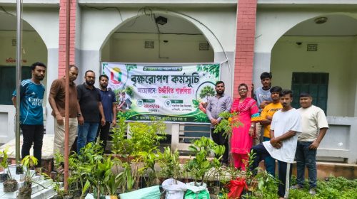 ২ হাজারের বেশি বৃক্ষরোপণের উদ্যোগ, সবুজায়নে অনন্য দৃষ্টান্ত গড়ল ‘উজ্জীবিত পারুলিয়া’